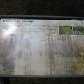 9 A Very Bad Swamp sign